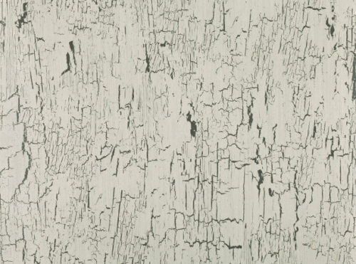 Antica  Quartz W907-04